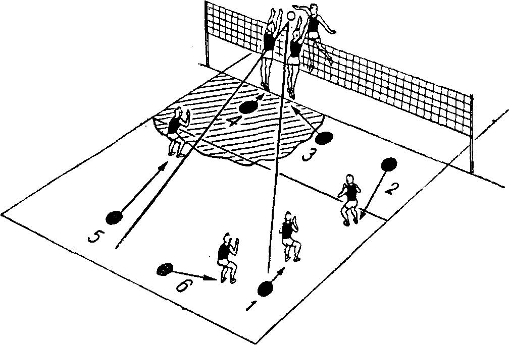 Позиции игроков в волейболе. 